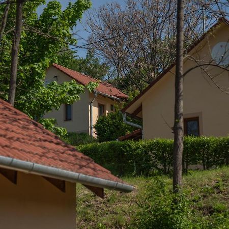 Tulipan Apartman Егер Екстериор снимка